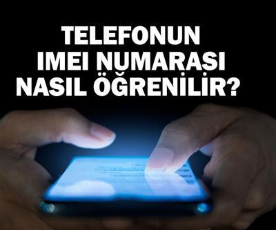 Telefonun IMEI numarası nasıl öğrenilir Yurda giriş yapılan belge numarası nerede yazar e-Devlet IMEI sorgula ekranı