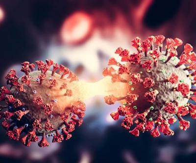 Covid-19 kabusu geri mi döndü Prof. Dr. Özlüden ‘XEC’ varyantı açıklaması