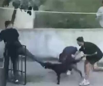 Maltepede pitbull dehşeti Talihsiz genci kurtarmak için seferber oldular