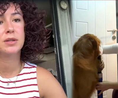 Önce köpeği sonra kendisi sahipsiz köpeklerin hedefi oldu Kuduz tedavisi görüyorum