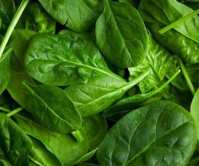 Bitkilerin Profesörü faydalarını bir bir açıkladı Ispanağın efsanevi gücü: A, C, K ve diğer vitaminler, mineraller ve antioksidanlar bakımından oldukça faydalı