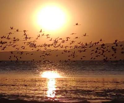 Güneşin kenti Vanda flamingolarla gün batımı