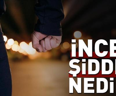 Video Haber | İNCEL ŞİDDET nedir