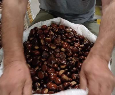 Kilosu 200 lira, kapış kapış satılıyor