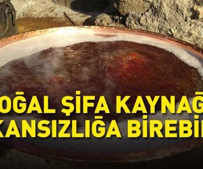 KANSIZLIĞIN DOĞAL İLACI Eklem ve kemikler için adeta şifa deposu... Saatlerce kaynatılarak hazırlanıyor İşte aşama aşama organik pekmez yapımı