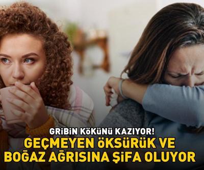 Gribin Kökünü Kazıyor Balgam Söktürücü Etki: Geçmeyen Öksürük Ve Boğaz Ağrısına Şifa, Ateşi Düşürmeye Yardımcı Oluyor