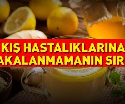 Kış Hastalıklarına Yakalanmamanın Sırrı: Bağışıklık Kalkanı Bu 5 Besinde Kolayca Bulun, Meydan Okuyun