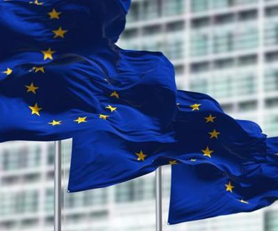 Euro bölgesinde şirket faaliyetleri düşüş gösterdi