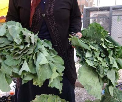 KARADENİZİN KARALAHANASI Faydaları bilimsel olarak kanıtlandı: Kanserden koruyor, kemikleri güçlendiriyor, mide ağrılarına iyi geliyor Böyle tüketirseniz...