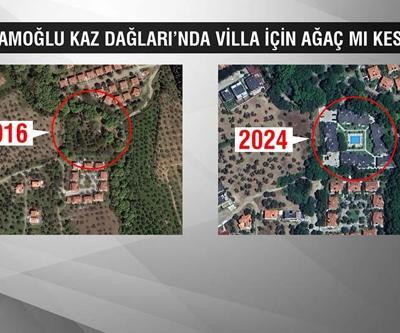 Kaz Dağlarında villa için ağaç kesildi iddiası O ağaçları İmamoğlu mu kestirdi