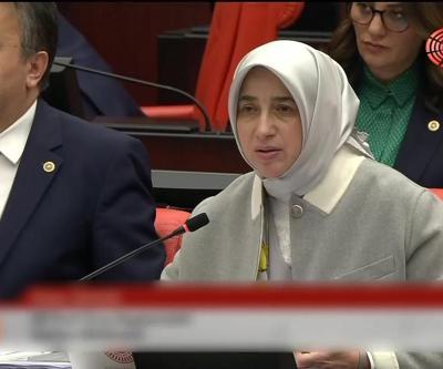 5 çocuğun ölümü Meclis gündeminde: AK Parti ve muhalefet arasında sorumluluk tartışması