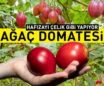 Ağaç domatesi olarak da biliniyor Tam bir sağlık deposu E ve C vitaminleri, beta karoten, kalsiyum , potasyum…