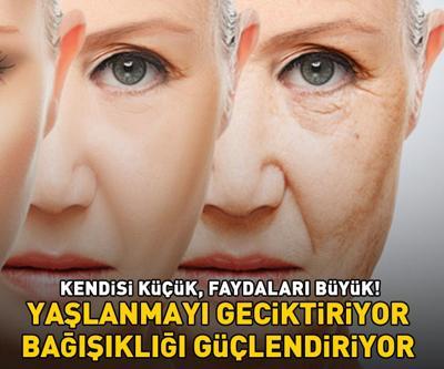 Kilosu 35 TL Kendisi küçük, faydaları büyük: YAŞLANMAYI GECİKTİRİYOR, BAĞIŞIKLIĞI GÜÇLENDİRİYOR