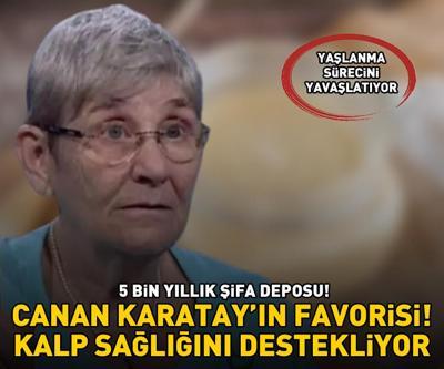 CANAN KARATAYIN FAVORİSİ 5.000 yıllık şifa deposu: Kalp sağlığını destekliyor, yaşlanma sürecini yavaşlatıyor