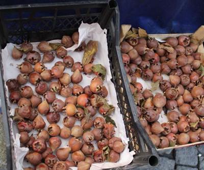 Faydasını bilen fiyatını sormadan alıyor Doğal A ve C vitamini kaynağı... Toksinleri atıyor, astım, bronşit iyi gelmediği şey yok Beşbıyık meyvesi...