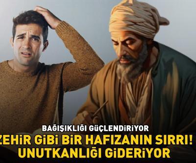 ZEHİR GİBİ BİR HAFIZANIN SIRRI İbn-i Sinanın şifa reçetesi: Unutkanlığı gideriyor, bağışıklığı güçlendiriyor
