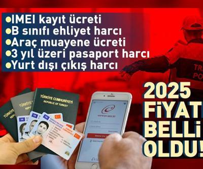 Yeniden değerleme oranı Resmi Gazetede: ehliyet, pasaport, yurt dışı çıkış harcı 2025te kaç para olacak