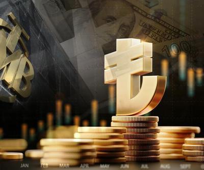 Merkez Bankası anket sonuçlarına göre yıl sonu dolar kaç para olacak