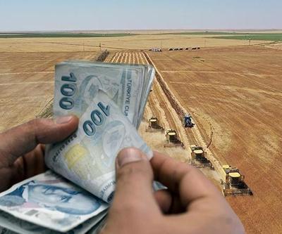 Bakanlık açıkladı: Destek ödemeleri hesaplara aktarıldı