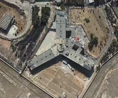 Af Örgütü, Sednayayı CNN TÜRKe anlattı…