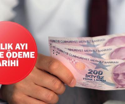 TEDİYE ÖDEME GÜNÜ VE TARİHİ ARALIK 2024... Kamu işçilerine ilave tediye ödemeleri yattı mı, ne zaman yatacak