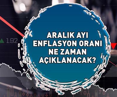 ARALIK AYI 2024 ENFLASYON ORANI TARİHİ: TEFE-TÜFE Aralık ayı enflasyon oranı ne zaman açıklanacak, hangi tarihte Tüm gözler TÜİKte olacak