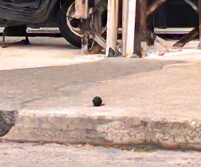SON DAKİKA İstanbul Beylikdüzünde El Bombası Paniği