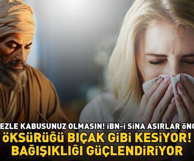 Grip Ve Nezle Kabusunuz Olmazsın İbn-i Sina Asırlar Önce Önerdi Bağışıklığı Güçlendiriyor, Öksürüğü Bıçak Gibi Kesiyor