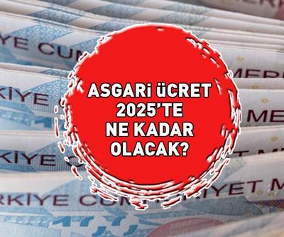 ASGARİ ÜCRET 2025 ZAM ORANLARI | Brüt - net Ocak 2025 asgari ücret ne kadar olacak, yüzde kaç zam gelecek Asgari ücret ne zaman açıklanacak