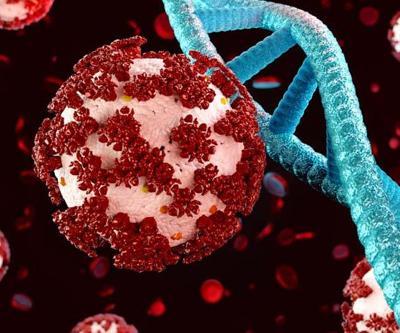Çin’de 5 Yıl Aradan Sonra Salgın Alarmı: HMPV ve COVID-19’un Ortak Noktaları ve Farklılıkları Neler
