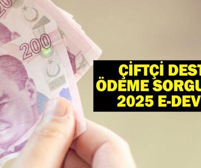 ÇİFTÇİ DESTEK ÖDEME SORGULAMA 2025 e-DEVLET: Tarımsal destekleme ödemeleri sorgulama nasıl yapılır