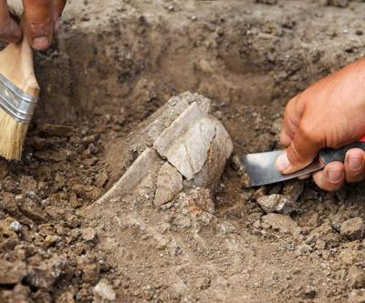 DNA bulguları, Demir Çağı’ndaki toplumsal yapıyı ortaya çıkardı: Erkekler iç güveyi olarak yaşıyordu