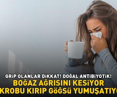 DOĞAL ANTİBİYOTİK Grip olanların imdadına yetişiyor: Göğsü pamuk gibi yumuşatıyor, boğaz ağrısını şak diye kesiyor