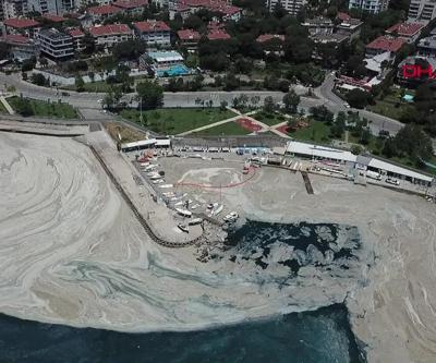 Uzmanlar uyarıyor: Marmara, deniz salyası tehdidi altında