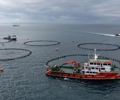 Doğu Karadeniz’in su ürünleri ihracatı 2024’te yüzde 22 arttı