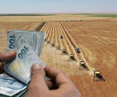Destek ödemeleri hesaplara yatırılıyor