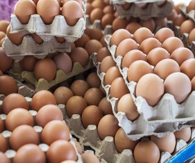 Salgın fiyatları uçurdu, hırsızların hedefi oldu: 100 bin yumurta çaldılar