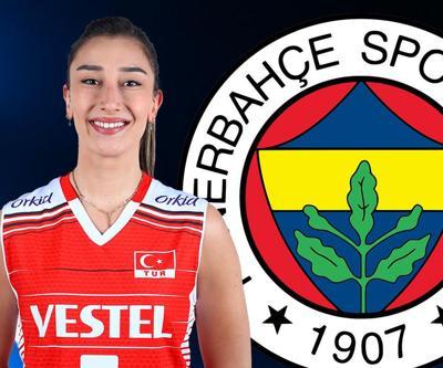 SON DAKİKA | Fenerbahçeden Hande Baladın bombası Milli voleybolcuyla anlaşma sağlandı...