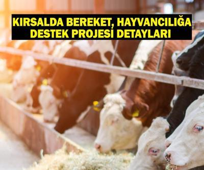 Kırsalda Bereket, Hayvancılığa Destek Projesi başvurusu ne zaman, başvuru şartları neler