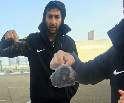 Hava sıcaklığı eksi 30a kadar düştü: Karga soğuktan dondu