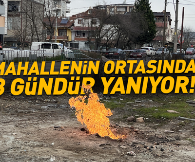 Mahallenin ortasında 3 gündür yanıyor