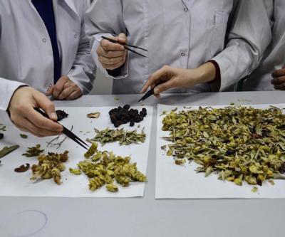 Bilimsel araştırma yapıldı: Kış çayları yarardan çok zarar verebilir
