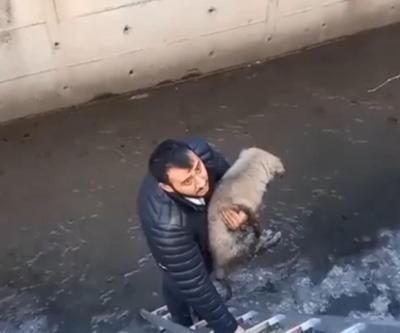 Ataşehir’de köpeğini kurtarmak isterken derede mahsur kaldı