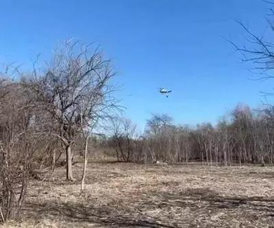New Yorktaki orman yangınlarına ilişkin soruşturma başlatıldı