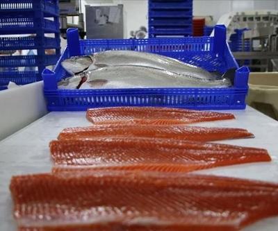 Doğu Karadeniz’den Türk somonu ihracatında 8,6 milyon dolar gelir elde edildi