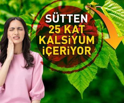 MUCİZENİN DOĞAL ŞİFA KAYNAĞI: Sütten 25 kat kalsiyum, ıspanaktan 10 kat demir içeriyor