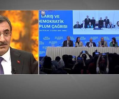 Cumhurbaşkanı Yardımcısı Yılmazdan DEM Partiye İmralı eleştirisi