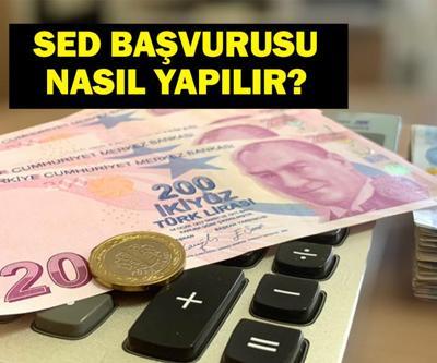SED YARDIMI 2025: SED Ödemeleri Hesaplara Yattı Bakan Mahinur Özdemir Göktaş Açıkladı İşte Sosyal ve Ekonomik Destek Ödemeleri Sorgulama Ekranı