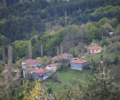 Dört mevsim tek karede: Ziyaretçilerini hayran bırakıyor