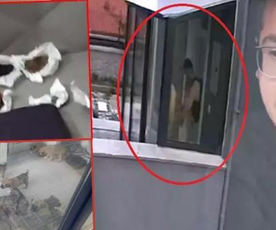 Köpekleri parçalayan doktorun evinden çıkanlar şoke etti